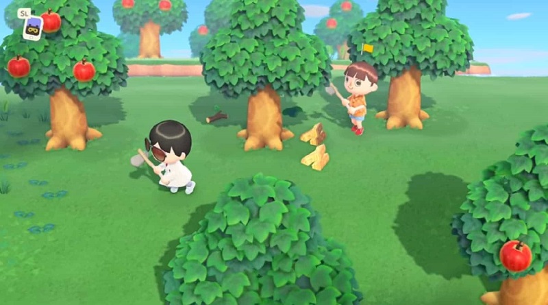 Animal Crossing: New Horizons Gameplay Animal Crossing: New Horizons Gameplay